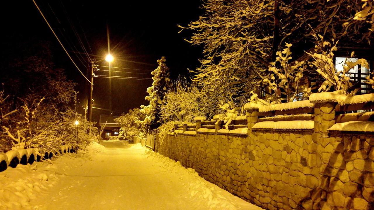 Апартаменти З Двома Спальнями І Кухнею Yaremche Dış mekan fotoğraf